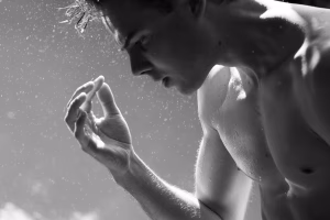 Sebastian  Kok - Gallery Image 1