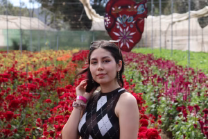 Alix Maynez - Gallery Image 11