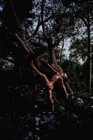 Angela Diciccio - Gallery Image 11