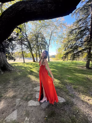 Sara Patterson - Gallery Image 6