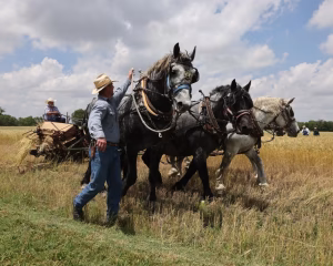 Nathan Graber - Gallery Image 1