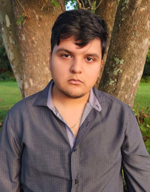 Ramon Navarro - Gallery Image 1