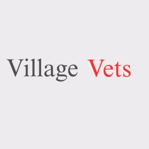 Village Vets - Gallery Image 2