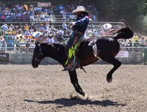 Billy Ray  Thunder - Gallery Image 12