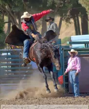Billy Ray  Thunder - Gallery Image 13