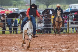 Billy Ray  Thunder - Gallery Image 8