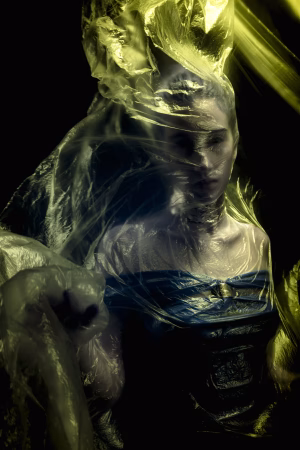Aurora Pina - Gallery Image 6