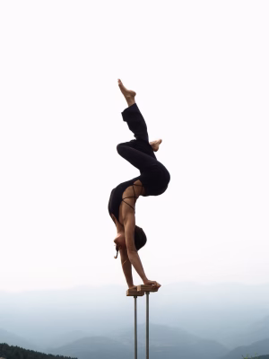 MIREIA SALA-PLANELL - Gallery Image 2