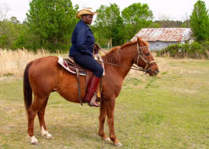 Tuesday Jackson - Gallery Image 5